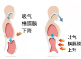 呼吸肌训练